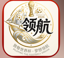 领航国际